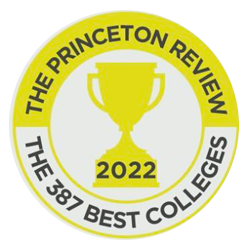 Princeton Review badge